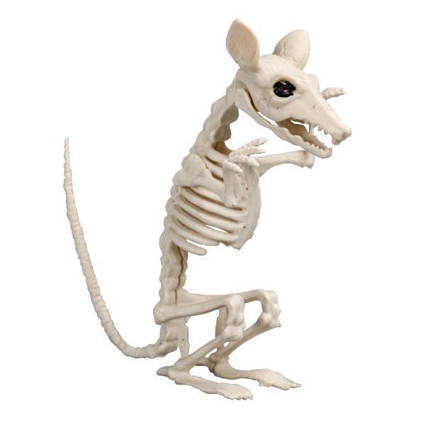 Mouse Skeleton - 15cm x 20cm