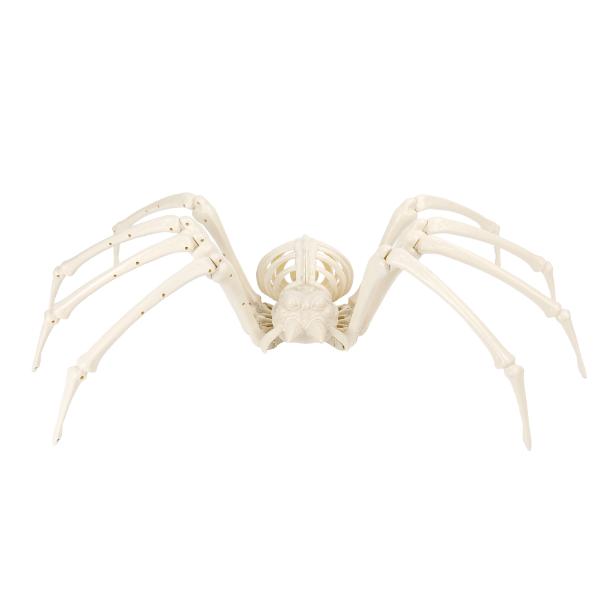 Jumbo Spider Skeleton - 54cm x 30cm x 18cm