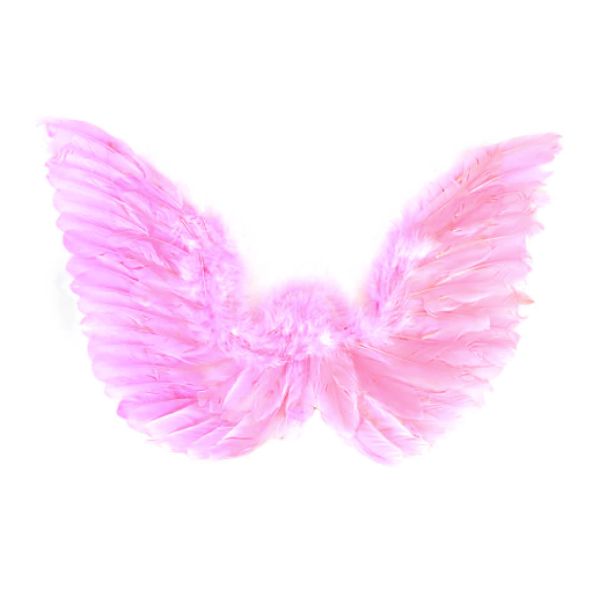 Purple Fallen Angel Wings