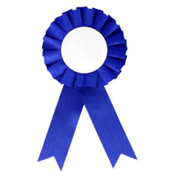 Blue Party Badge