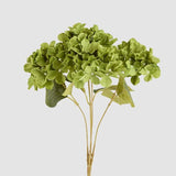 Load image into Gallery viewer, Green Hydrangea Bunch With 5 Heads
