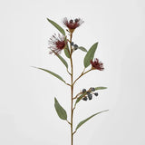 Load image into Gallery viewer, Red Flowering Eucalyptus Stem - 80cm
