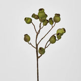 Load image into Gallery viewer, Green Gumnut Spray - 67cm
