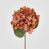 Load image into Gallery viewer, Brown Hydrangea Stem - 69cm
