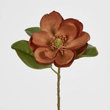 Load image into Gallery viewer, Brown Magnolia Stem - 74cm
