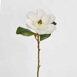 Load image into Gallery viewer, White Magnolia Stem - 74cm
