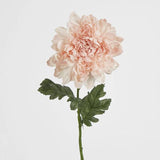 Load image into Gallery viewer, Light Pink Chrysanthemum Stem - 76cm
