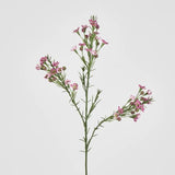 Load image into Gallery viewer, Dark Pink Wax Flower Stem - 64cm
