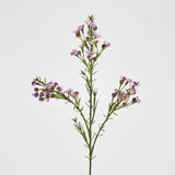 Load image into Gallery viewer, Lilac Wax Flower Stem - 64cm
