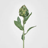 Load image into Gallery viewer, Green Artichoke Stem - 58cm
