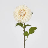 Load image into Gallery viewer, Cream Single Ball Dahlia - 74cm
