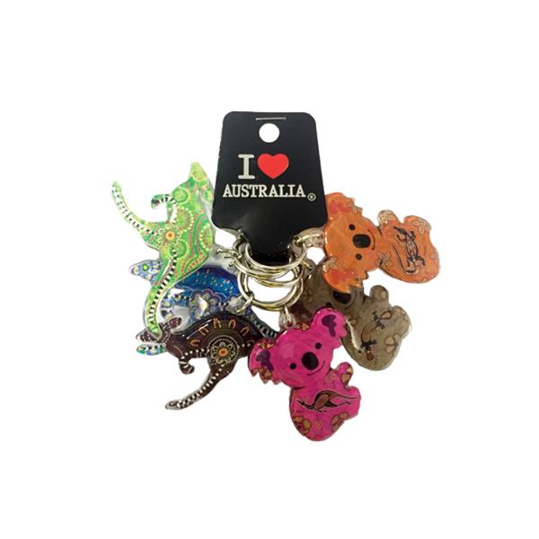 6 Pack Keyrings