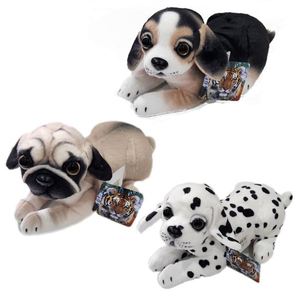 Assorted Plush Puppy - 25cm