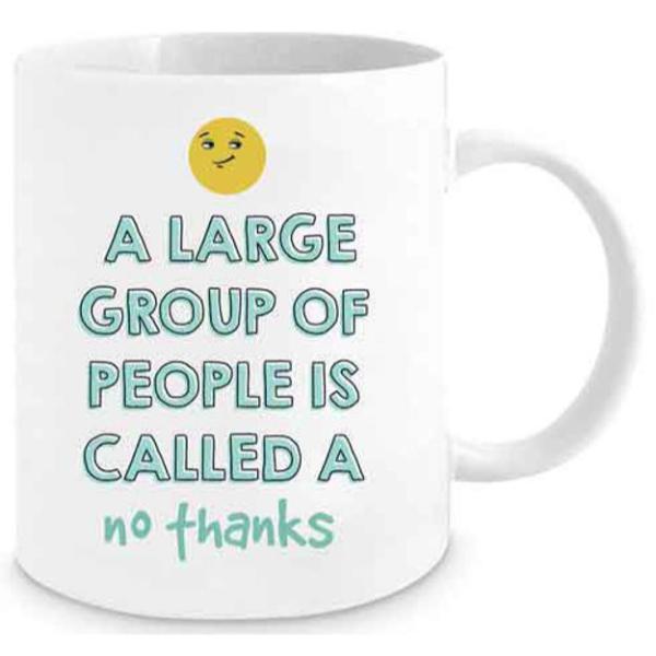 No Thanks Novelty Mug