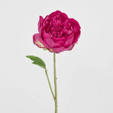Load image into Gallery viewer, Fuchsia Peony Spray - 60cm
