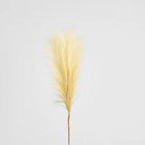 Load image into Gallery viewer, Cream Pampas Spray - 1.2m
