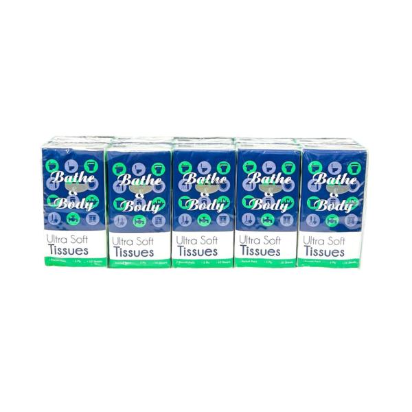 10 Pack Pocket Tissues