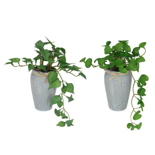 Green Plant In Grey Pot - 21cm