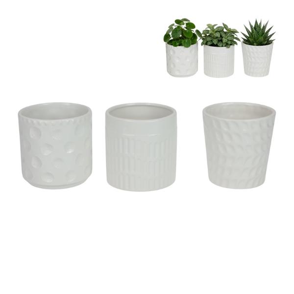Assorted White Pot - 10cm