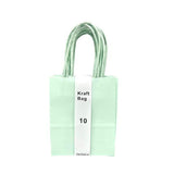 Load image into Gallery viewer, 10 Pack Mint Green Loot Bags - 12cm x 15cm x 6cm
