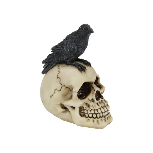 Sitting Raven On Skull - 12cm