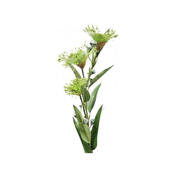 Green Silk Flowering Gum - 12cm x 72cm x 8cm