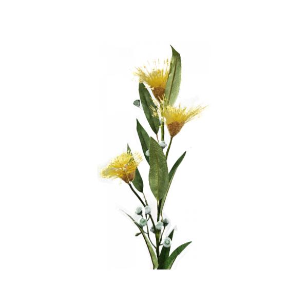 Yellow Silk Flowering Gum - 12cm x 72cm x 8cm