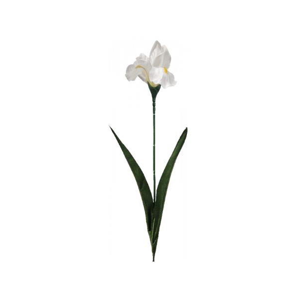 White Silk Iris Flower - 43cm x 60cm x 11cm