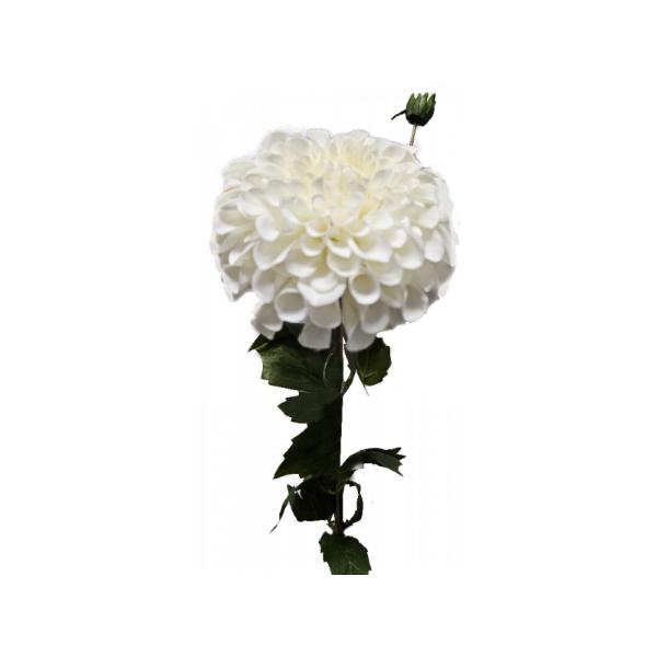 White Dahila Silk Flower - 25cm x 78cm x 10cm