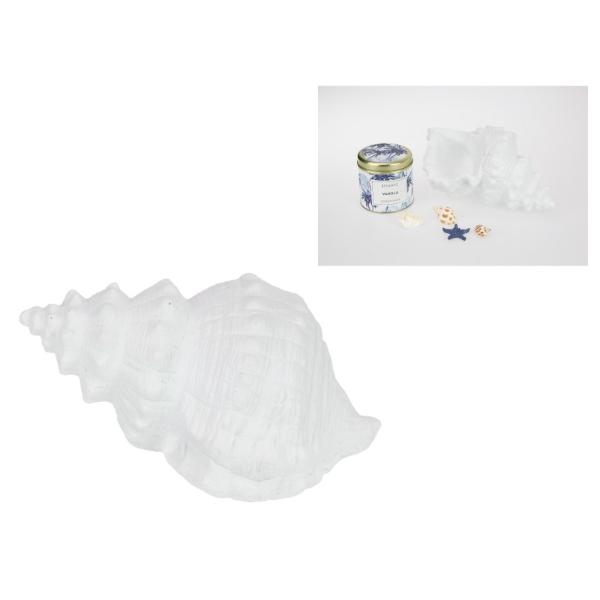 White Spiral Cone Shell Decor Piece - 23cm