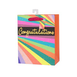 Load image into Gallery viewer, Large Neon Stripes Gift Bag - 26cm x 32cm x 12cm
