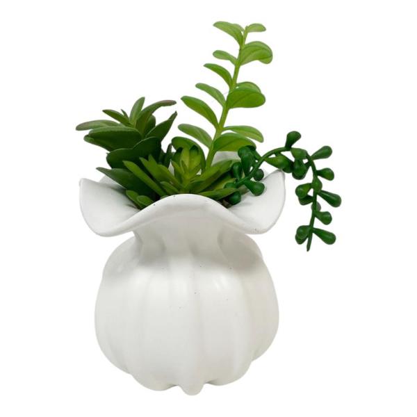 White Vase With Succulent - 11cm