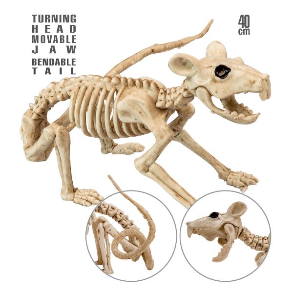 Rat Skeleton - 40cm
