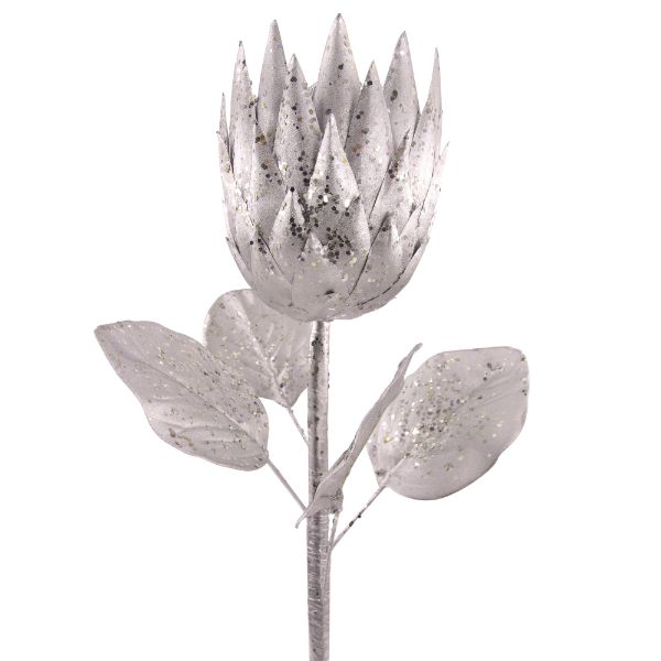 Silver Protea - 69cm