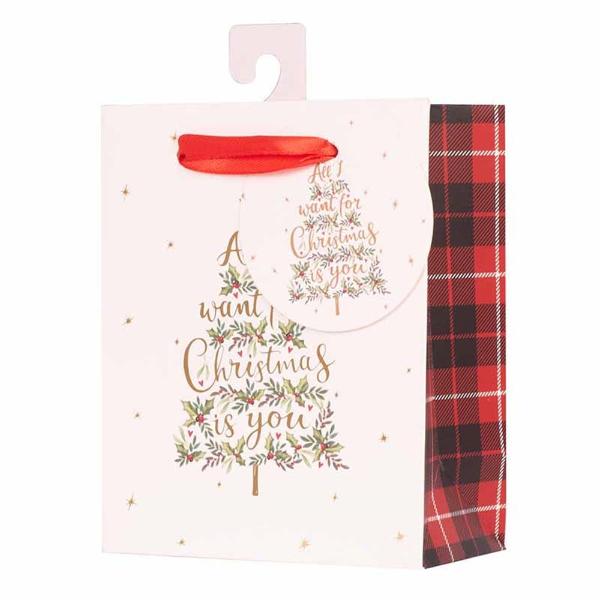 X Large All I Want For Christmas Is You Gift Bag - 35cm x 35cm x 12cm