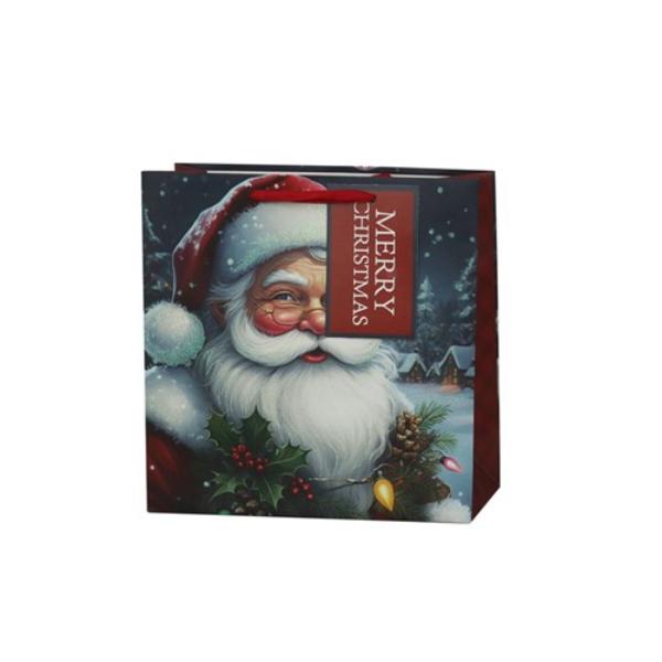Large Father Christmas Gift Bag - 25x25x10cm