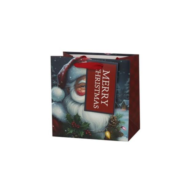 Medium Father Christmas Gift Bag - 17.5x17.5x10cm