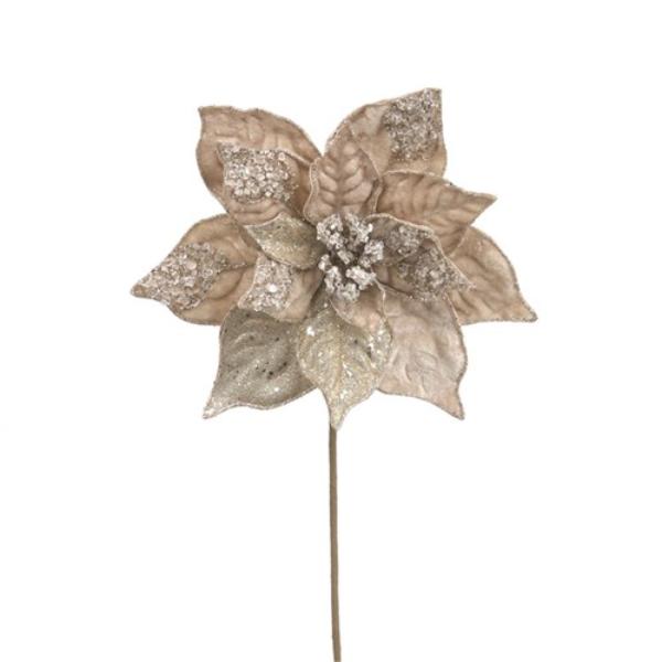 Champagne Velvet & Glitter Poinsettia Stem - 50cm