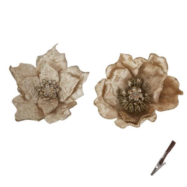 Champagne Poinsettia & Magnolia Clip - 14cm
