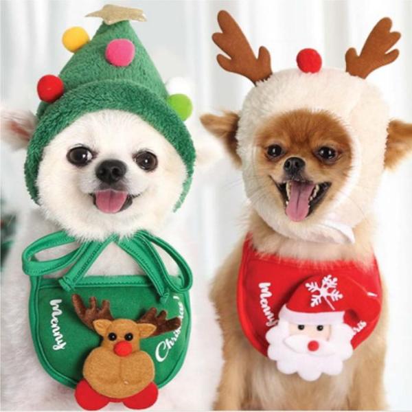 Festive Pet Costume