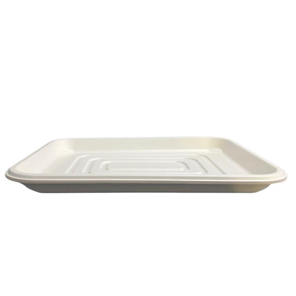 3 Pack Eco Friendly Zafpack Sugarcane Tray - 45.8cm x 35.4cm x 3.5cm