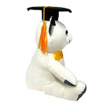Load image into Gallery viewer, Graduation Bear 20cm
