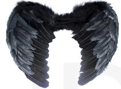 Black Angel Wing - Medium - The Base Warehouse