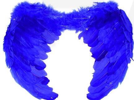 Blue Angel Wing - Large - The Base Warehouse