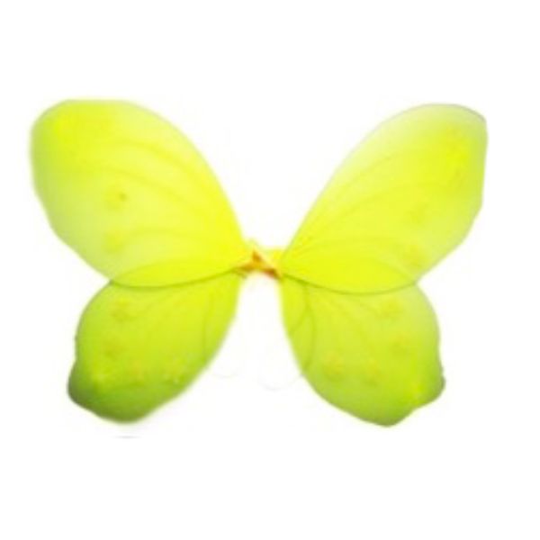 Yellow Butterfly Wing