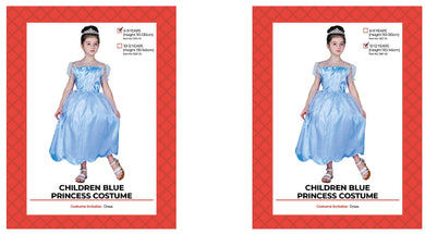 Kids Blue Princess Costume - L (10-12 Years) - The Base Warehouse