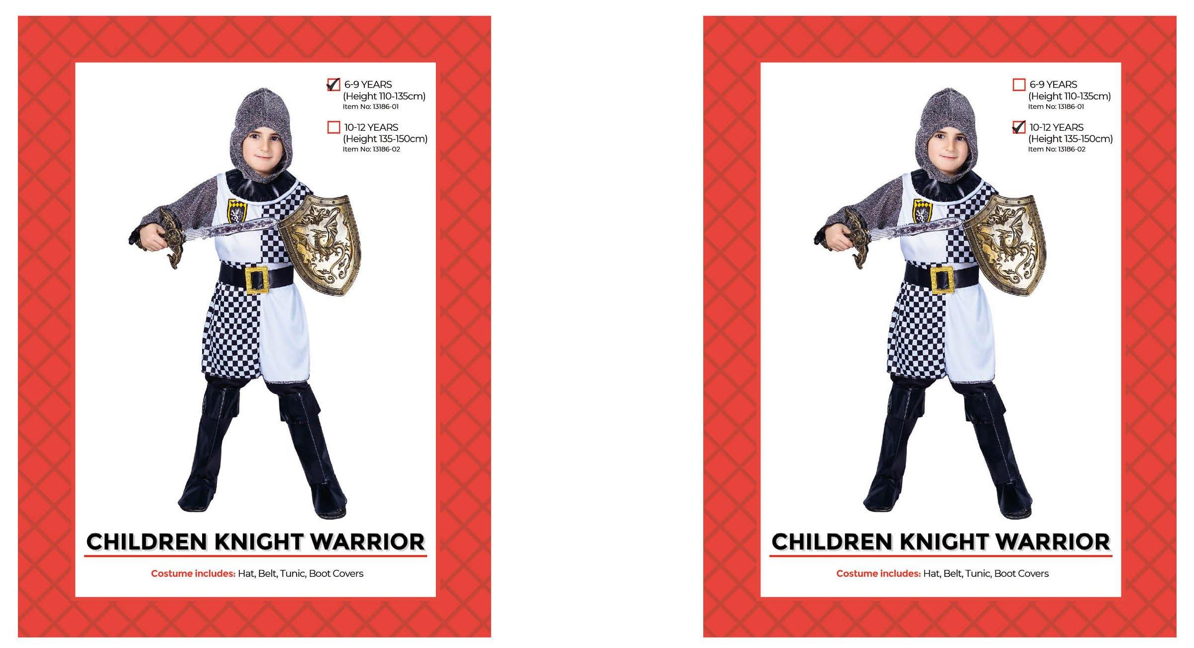 Kids Knight Warrior Costume - M (6-9 Years) - The Base Warehouse