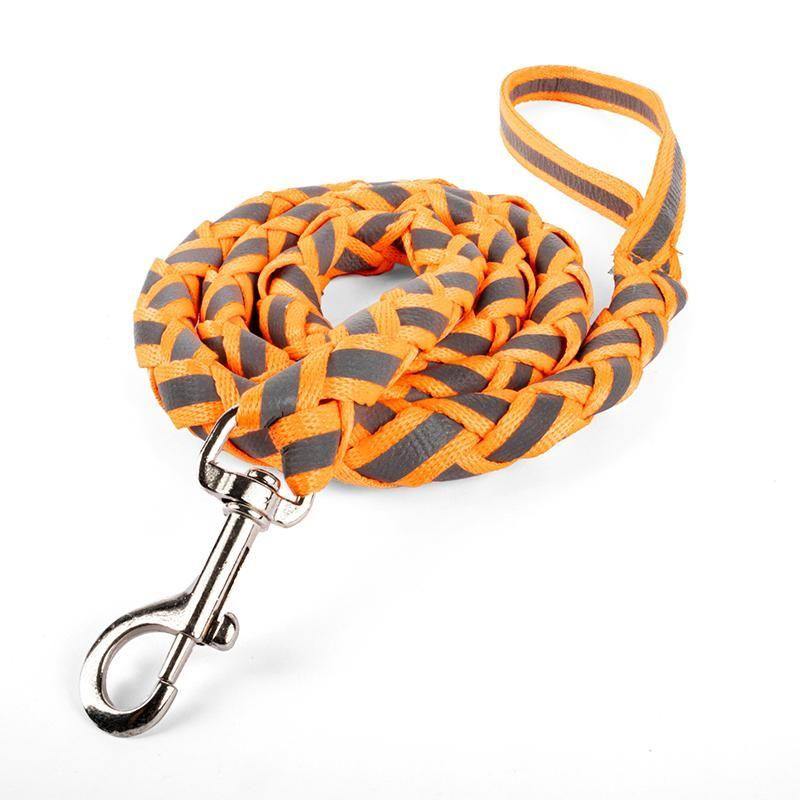 Fluro Dog Leash - 125cm x 15mm - The Base Warehouse