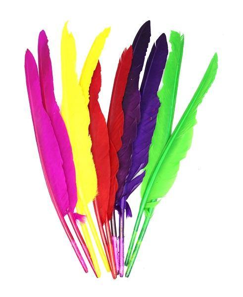 Large Assorted Colour Feathers - The Base Warehouse