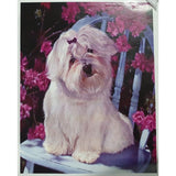 Load image into Gallery viewer, Stella Stone Paint By Numbers Mix B - 30cm x 40cm
